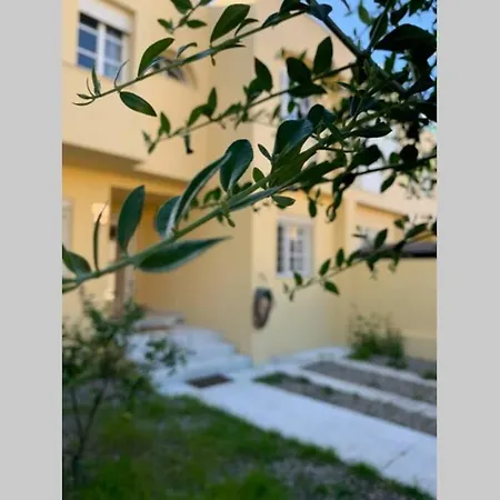 Vive Jerez Casa De Lujo Con Piscina Y Barbacoa En La Mejor Zona De Vakantiehuis Jerez de la Frontera