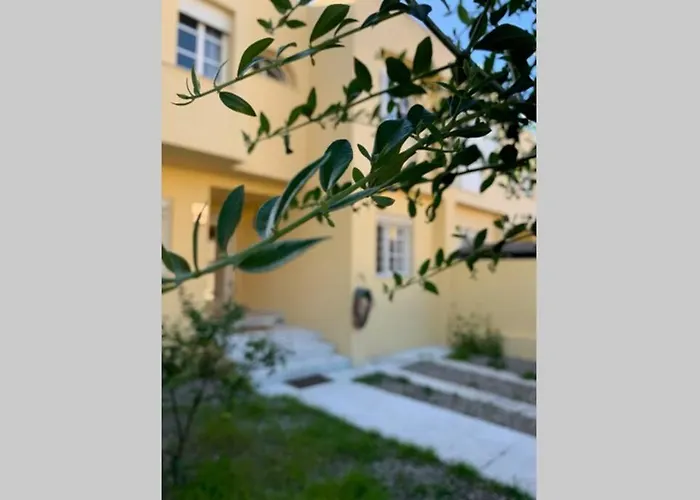 Vive Jerez Casa De Lujo Con Piscina Y Barbacoa En La Mejor Zona De Holiday home Jerez de la Frontera