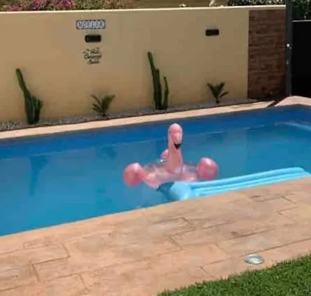 Дом отдыха Vive Jerez Casa De Lujo Con Piscina Y Barbacoa En La Mejor Zona De Херес-де-ла-Фронтера